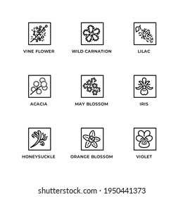 Vector set of design elements, logo design template, icons and badges for herbs and plants. Line icon set, editable stroke.