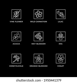 Vector set of design elements, logo design template, icons and badges for herbs and plants. Line icon set, editable stroke.