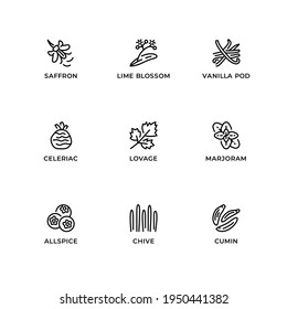 Vector set of design elements, logo design template, icons and badges for herbs and plants. Line icon set, editable stroke.