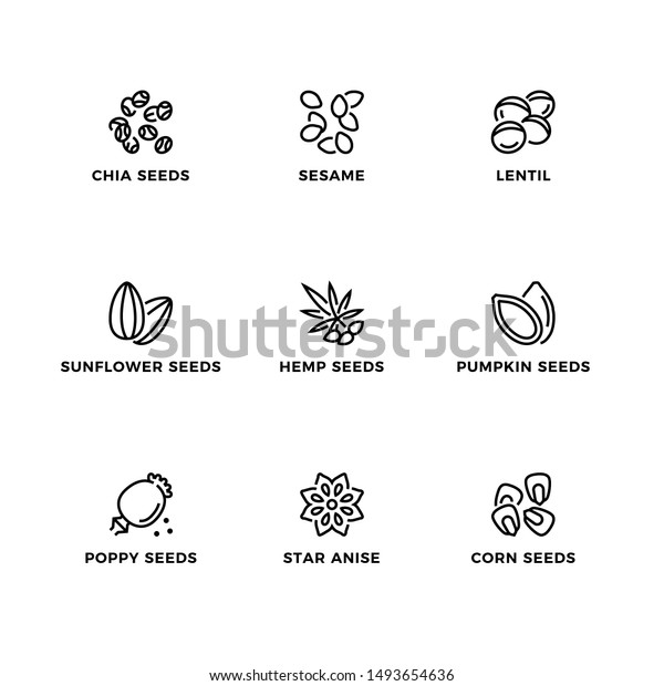 Vector set of\
design elements, logo design template, icons and badges for seeds.\
Line icon set, editable stroke.\
