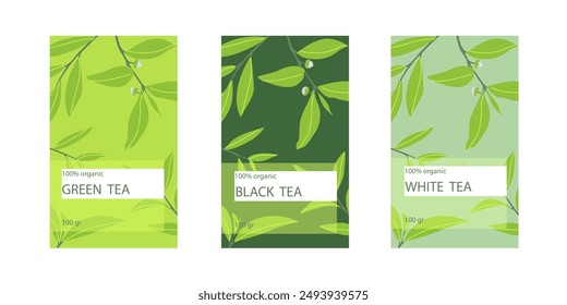 Vector set of design elements for tea packaging - white, black and green tea. Branding, packaging. Tea packaging sticker. Box design concept.