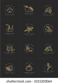 Vector set design golden templates logo and emblems - syrups and toppings. Food icon. Logos in trendy linear style isolated on white background