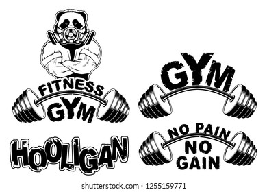 Vector set design for a gym with an abstract image of a strong panda.