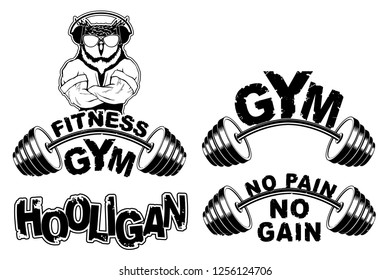 Vector set design for a gym with an abstract image of a strong owl.