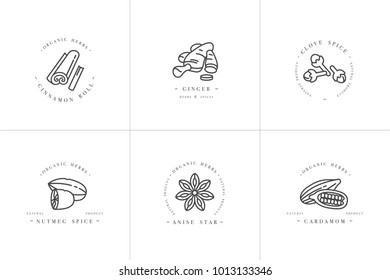 Vector set design monochrome templates logo and emblems - herbs and spices. Different spices icon for mulled wine. Logos in trendy linear style isolated on white background