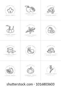 Vector set design monochrome templates logo and emblems - syrups and toppings. Food icon. Logos in trendy linear style isolated on white background