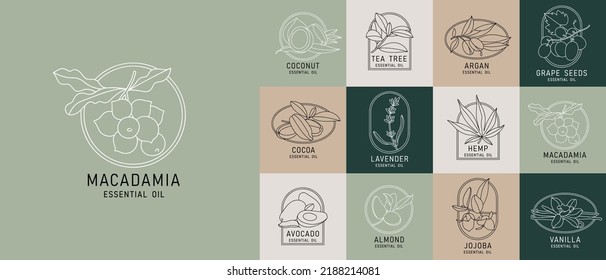 Vector set design templates and emblems - healthy and essential cosmetics oils. Different natural, organic oils. Logos in trendy linear style