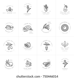 Vector set design templates and emblems - healthy and cosmetics oils. Different natural, organic oils. Logos in trendy linear style