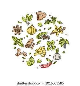 Vector set design templates icon and emblems - herbs and spices. Different spices signs. Illustrations in trendy linear style isolated on white background. Concept composition