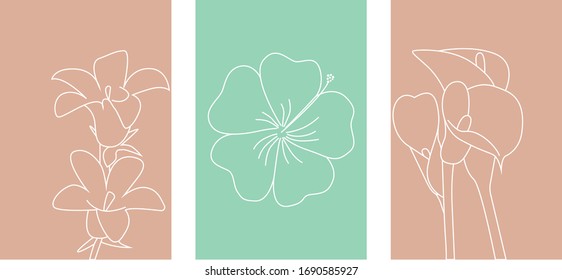Conjunto vectorial de plantillas de diseño e ilustraciones en un estilo lineal mínimo. Arte moderno con flores minimalistas.