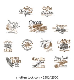 Vector set of Dessert Spices logos, labels, badges and design elements. Retro.Vintage illustrations.