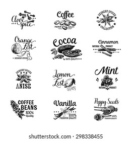 Vector set of Dessert Spices logos, labels, badges and design elements. Retro.Vintage illustrations.