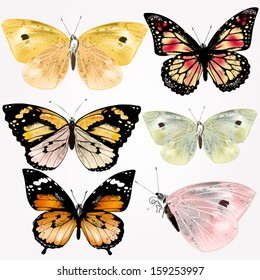 Vector set of detailed colorful butterflies for design