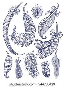 Vector set of detailed decorative feathers in lines. Contour drawings isolated on white background