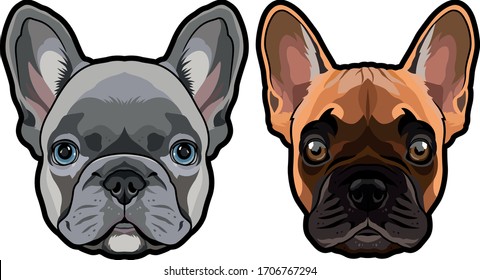 Vector set of detailed french bulldog's heads illustration