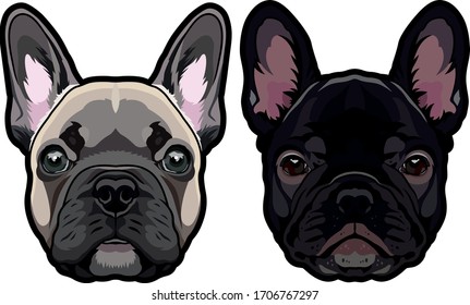 Vector set of detailed french bulldog's heads illustration