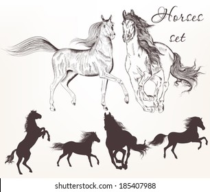 Vector set of detailed hand drawn horses for design