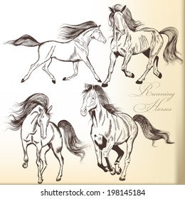 Vector set of detailed hand drawn horses for design