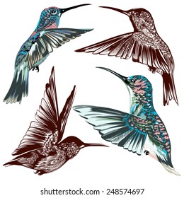 Vector set of detailed hand drawn birds for design