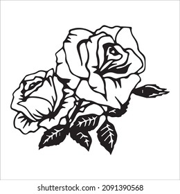 Conjunto vectorial de dibujos detallados y aislados del borde Rose bud en color negro. Ilustración vectorial para el diseño sobre fondo blanco.
