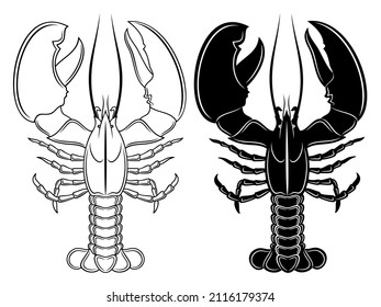 Vector set of detailed outline lobster and silhouette, in black color, isolated on white background.