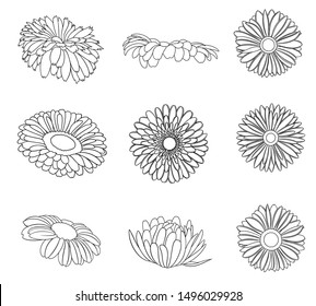 Vector set of detailed, realistic various outline flower buds in black color, isolated, on white background.