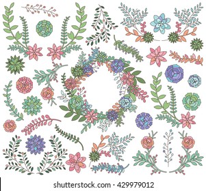 Vector Set of Detailed Succulent Plants, Cactus and Succulent Wreath