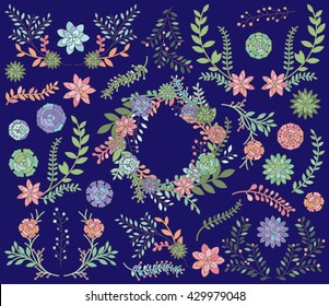 Vector Set of Detailed Succulent Plants, Cactus and Succulent Wreath