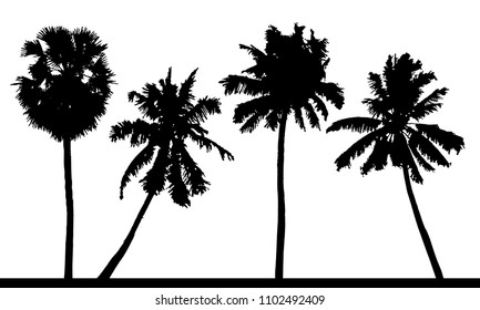 Vector set of detailed tropical palm trees silhouettes.