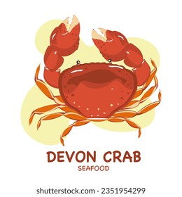 Vector set of devon crab for Mediterranean cuisine. Seafood. Top view, closed shell, open shell. Isolated on a white background. for the product market.