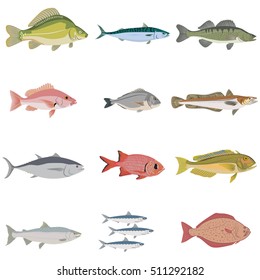 Vector set of difference kind of fish, river and sea food.