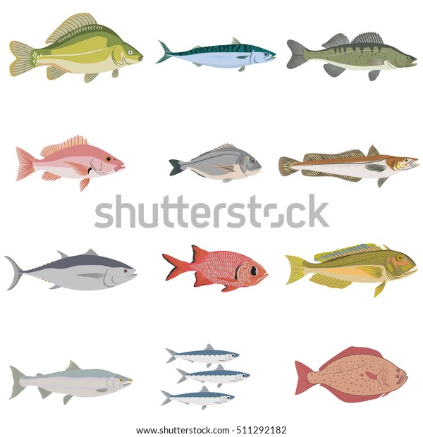 Vector Set Difference Kind Fish River Stock Vector (Royalty Free) 511292182