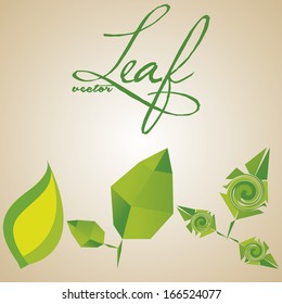 Vector Set Of Different Abstract Leaves Isolated