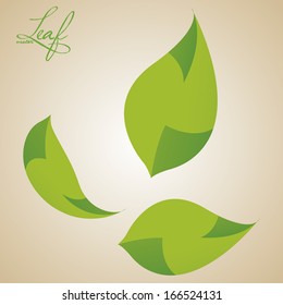 Vector Set Of Different Abstract Leaves Isolated