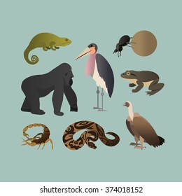 Vector Set Of Different African Animals. Animals of the African savanna Gorilla, Scorpio, Scarab twisting ball, Chameleon, Python, goliath frog, Marabou, Grif. Flat Style.