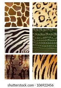 Vector Set Different Animal Skins Stock Vector (Royalty Free) 106922456 ...