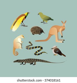 Vector Set Of Different Australian Animals. Animals of Australian Kangaroo Echidna, Couscous, Australian giant lizard, mangrove snake, parrot Kea, Laughing Kingfisher, Big bird of paradise. 