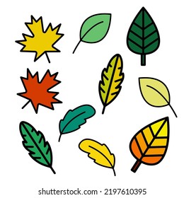 vector set of different autumn leaves