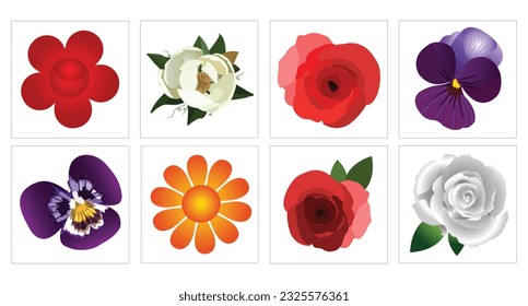conjunto vectorial de diferentes flores hermosas, rosa roja, rosa blanca, violetas
