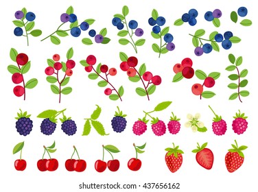 vector set with different berries. strawberry, raspberry, cherry, cranberry, blueberry, blackberry. ideal for invitations, logo, scrapbooking, cards, prints for cases, t-shirts