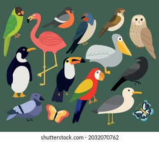 Vector set of different birds on a green background such as: pelican, flamingo, penguin, dove, sparrow, parrot, bullfinch, crow, seagull, butterfly, owl, toucan, swallow. Flat illustration