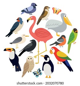 Vector set of different birds on a white background such as: pelican, flamingo, penguin, dove, sparrow, parrot, bullfinch, crow, seagull, butterfly, owl, toucan, swallow. Flat illustration