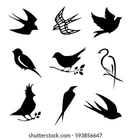Vector set with different black birds silhouettes isolated on white background