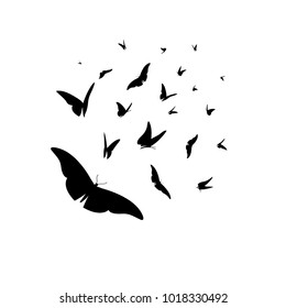 Vector set of different black silhouettes of butterflies on a white background