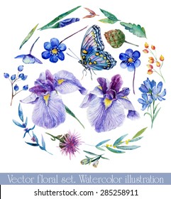 Vektorillustration aus verschiedenen Blumen, Lila Blumen für Design. Aquarelleisen, Kornblumen, Wildblumen, Blätter, Beeren, Schmetterling