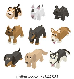 Vector set of different breed isometric dogs. Isolated cute isometry animals. Elements of geometric flat dogs for 3d game. Icon collection of domestic and home animals.Beagle, Bulldog, Boxer, Doberman