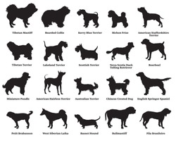Vector Set Of Different Breeds Dogs Silhouettes Isolated In Black Color On White Background. Part 5