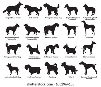Vector set of different breeds dogs silhouettes isolated in black color on white background. Part 6