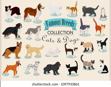 Vector set of different breeds of dogs and cats on a light background