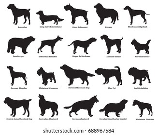 Vector set of different breeds dogs silhouettes isolated in black color on white backround 